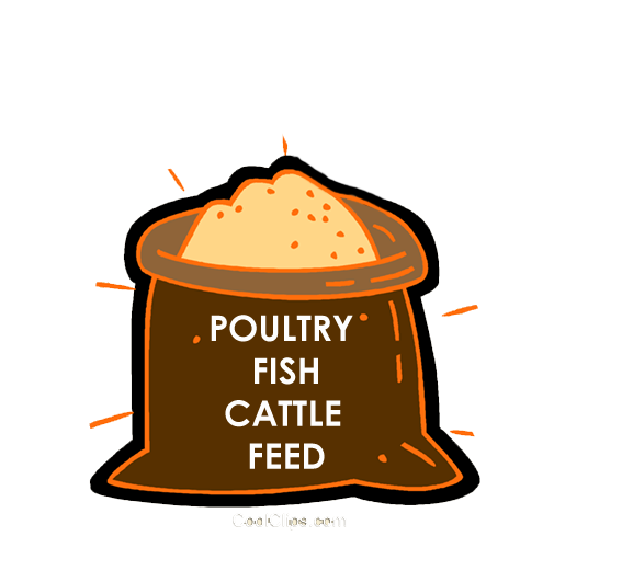 Feed_updated.png